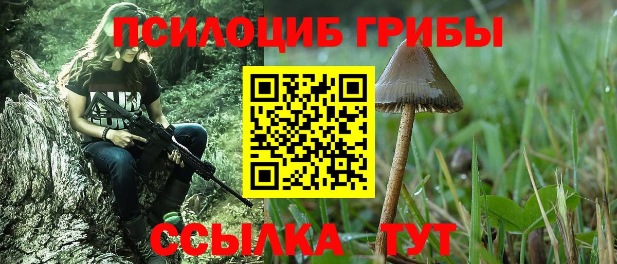 Георгиевск  Псилоцибиновые грибы GOLDEN TEACHER  Галлюциногенные грибы Psilocybine cubensis  Вход с VPN 